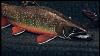 Vintage Michigan Jim Nelson 14 Pike Fish Spearing Decoy Folk Art Fishing Lure